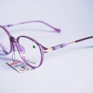 Armazón Morado Transparente con Acabados en Terminal